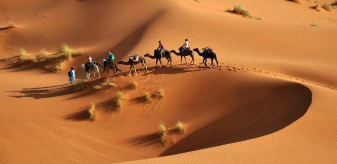 Casablanca Tour Casablanca Tour