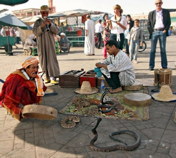 Casablanca Tour Casablanca Tour