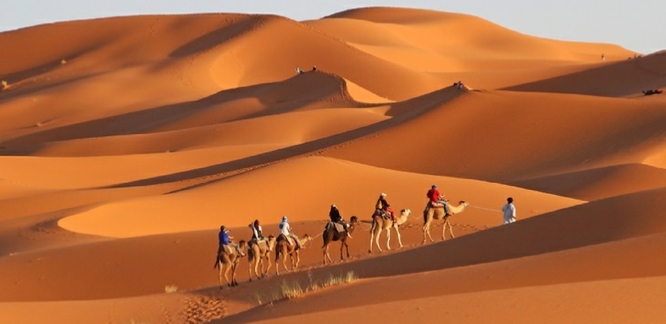 Tour Marrakech Tour Marrakech