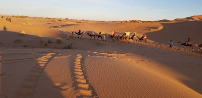 Merzouga Excursion
